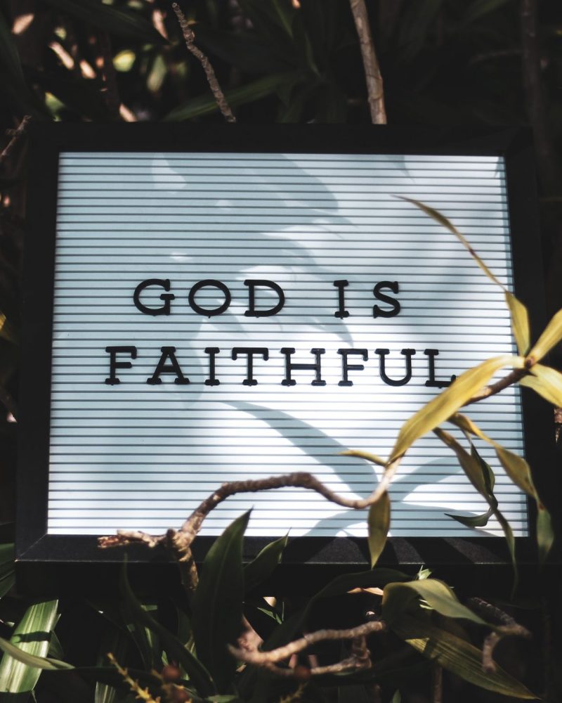 tony-eight-media-iy34kwDyJ4E-unsplash tony-eight-media-iy34kwDyJ4E-unsplash